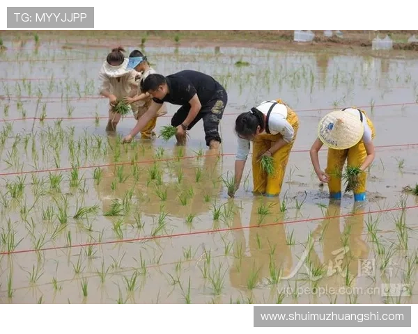 华体会电脑版官网最新版本下载,支持多设备同步操作与账户管理